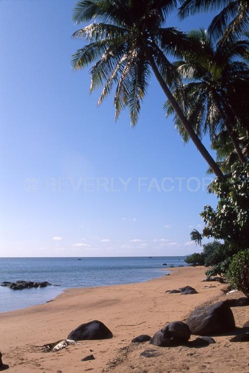 Island;fiji;blue water;sky;palm trees;sand;shore line